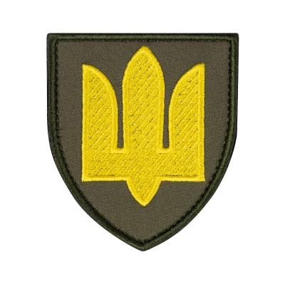 Шеврон (нашивка) Сухопутні війська ЗСУ, 8х7 см. Олива