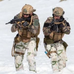 Берці Salomon Quest 4D Forces High Gore-Tex®. Койот 6