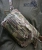 Сумка поясна Recon Malva. Cordura 500D. Мультикам 3